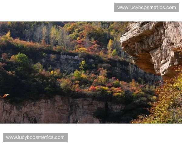 《英雄联盟招募新队员,寻找志同道合的伙伴一起征战峡谷》 《英雄联盟招募新队员,寻找志同道合的伙伴一起征战峡谷》